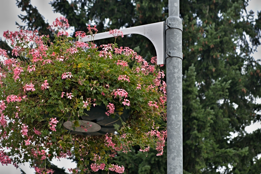 Držáky květinových truhlíků - obec Vestec